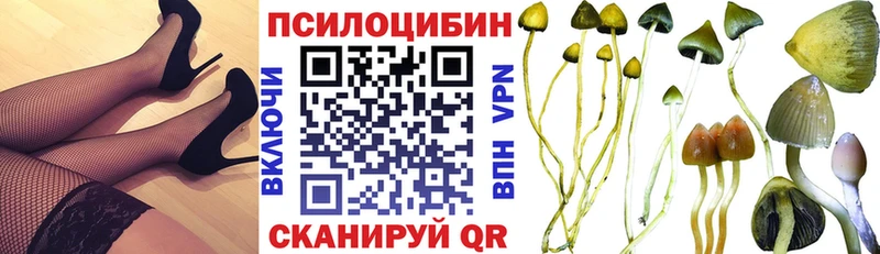 мега рабочий сайт Волхов Псилоцибиновые грибы мухоморы