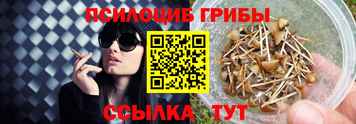 Волхов  Псилоцибиновые грибы ЛСД  Вход с VPN 